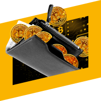 We send mined crypto to your wallet every day